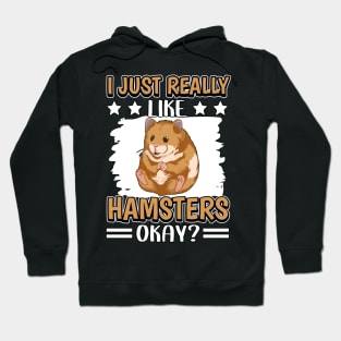 I Just Really Like Hamsters Hoodie